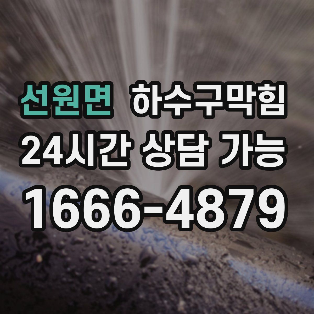 선원면 하수구막힘