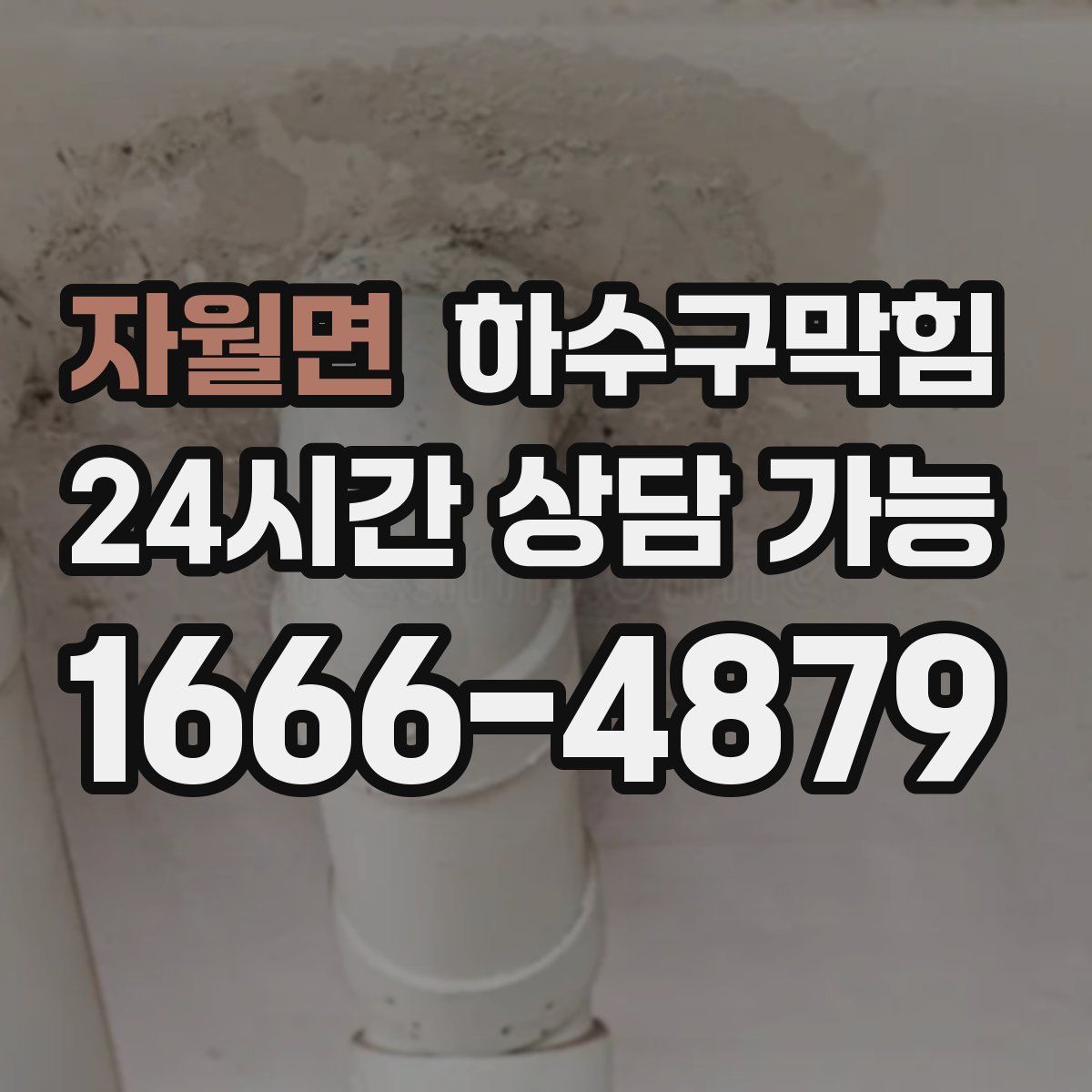 자월면 하수구막힘