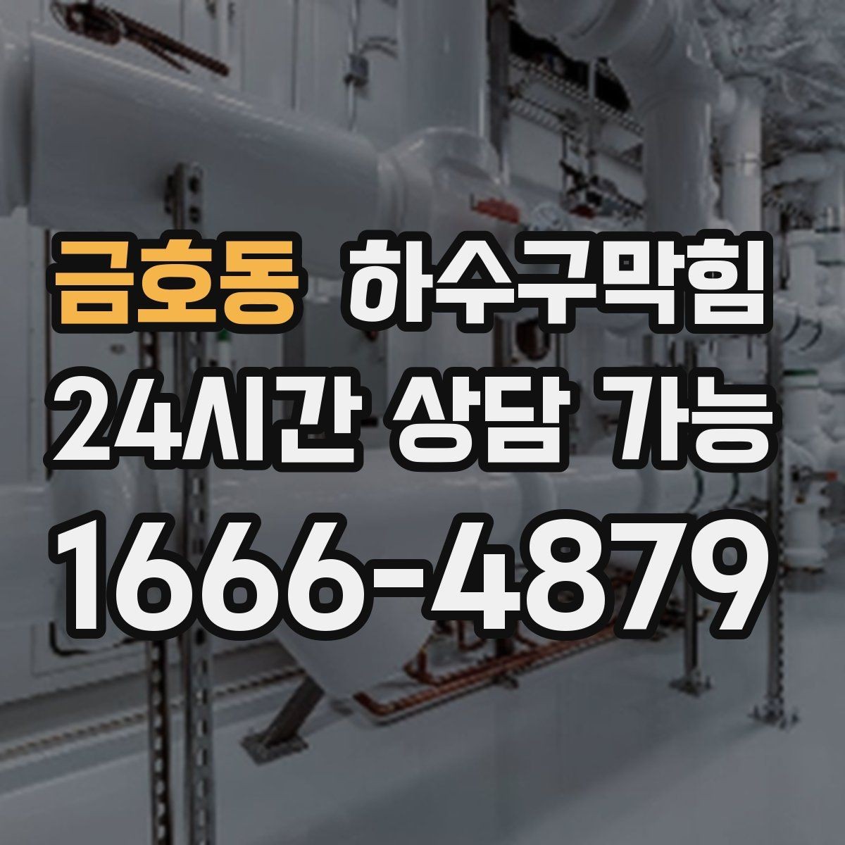 금호동 하수구막힘 사무실 화장실역류와 회의 시작 5분의 간극
