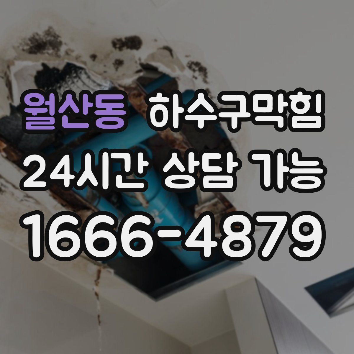 월산동 하수구막힘