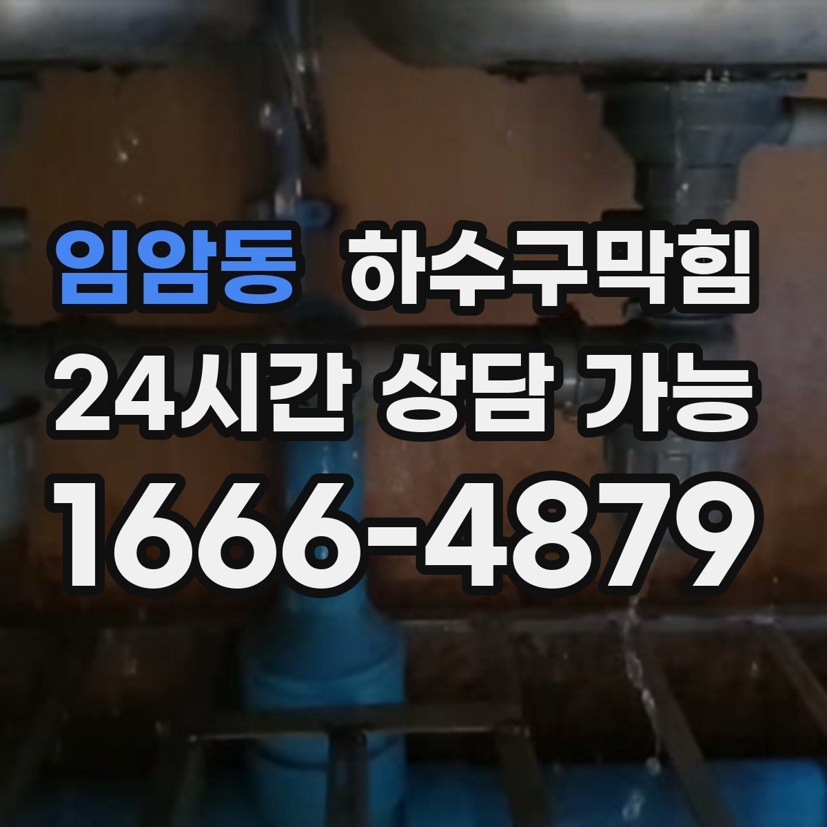 임암동 하수구막힘 상가 배수구막힘으로 영업 전 긴급 점검