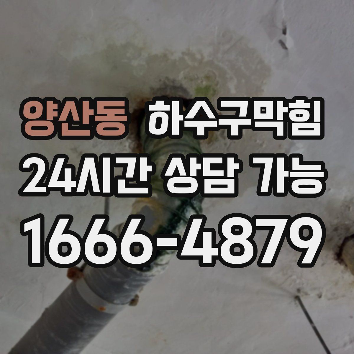 양산동 하수구막힘 직원 출입문 하단 고무띠의 경고
