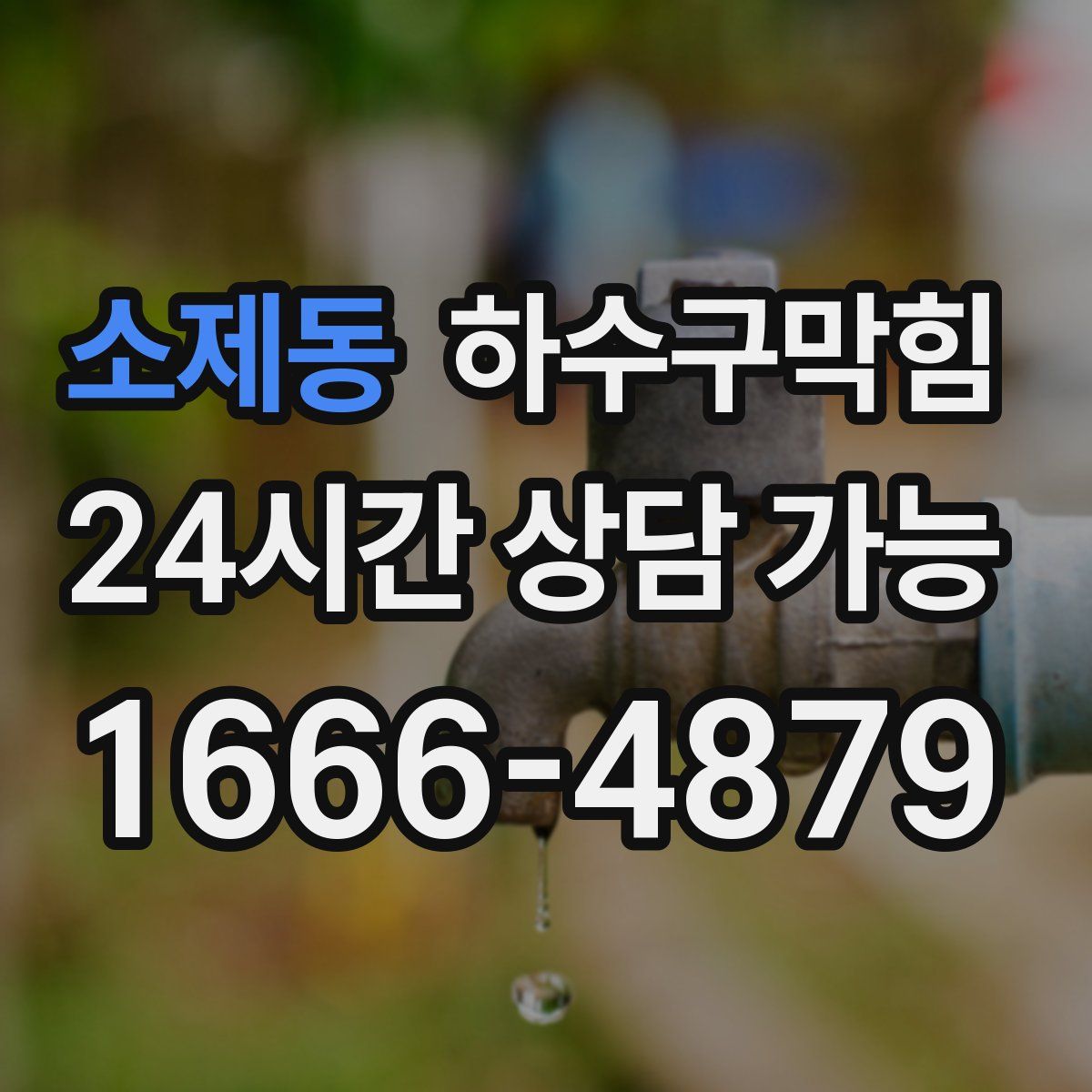 소제동 하수구막힘