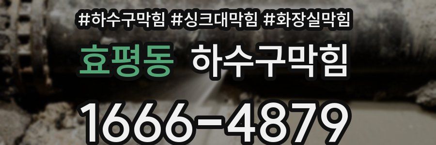 하수구막힘