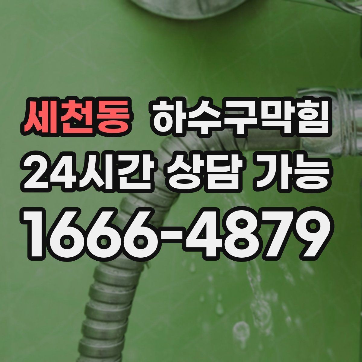 세천동 하수구막힘 아파트 하수구뚫기와 복도 식물의 기지개