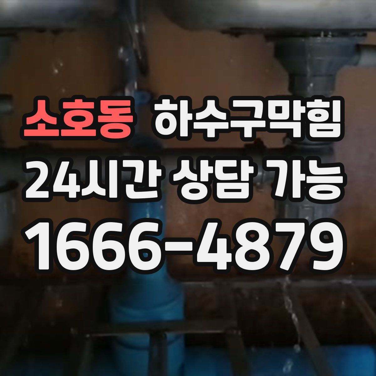 소호동 하수구막힘