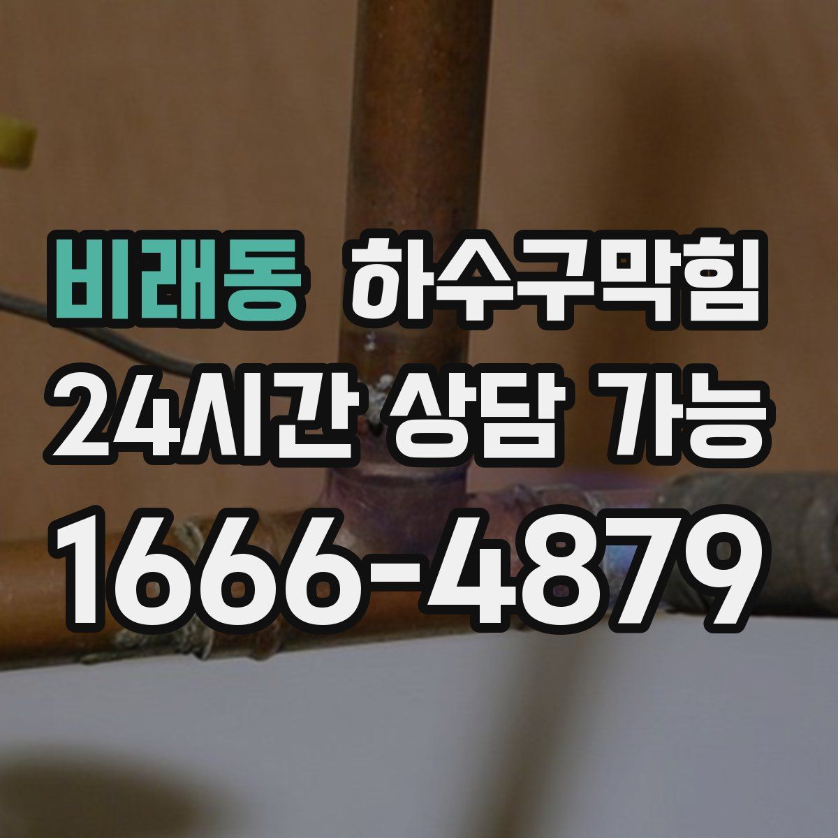 비래동 하수구막힘