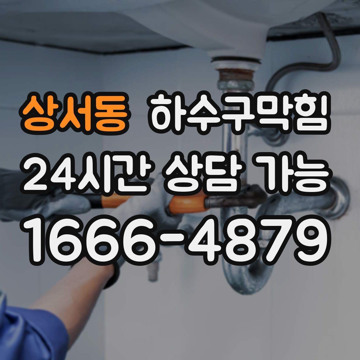 상서동 하수구막힘 욕실 벌레 유입을 막는 수봉 유지