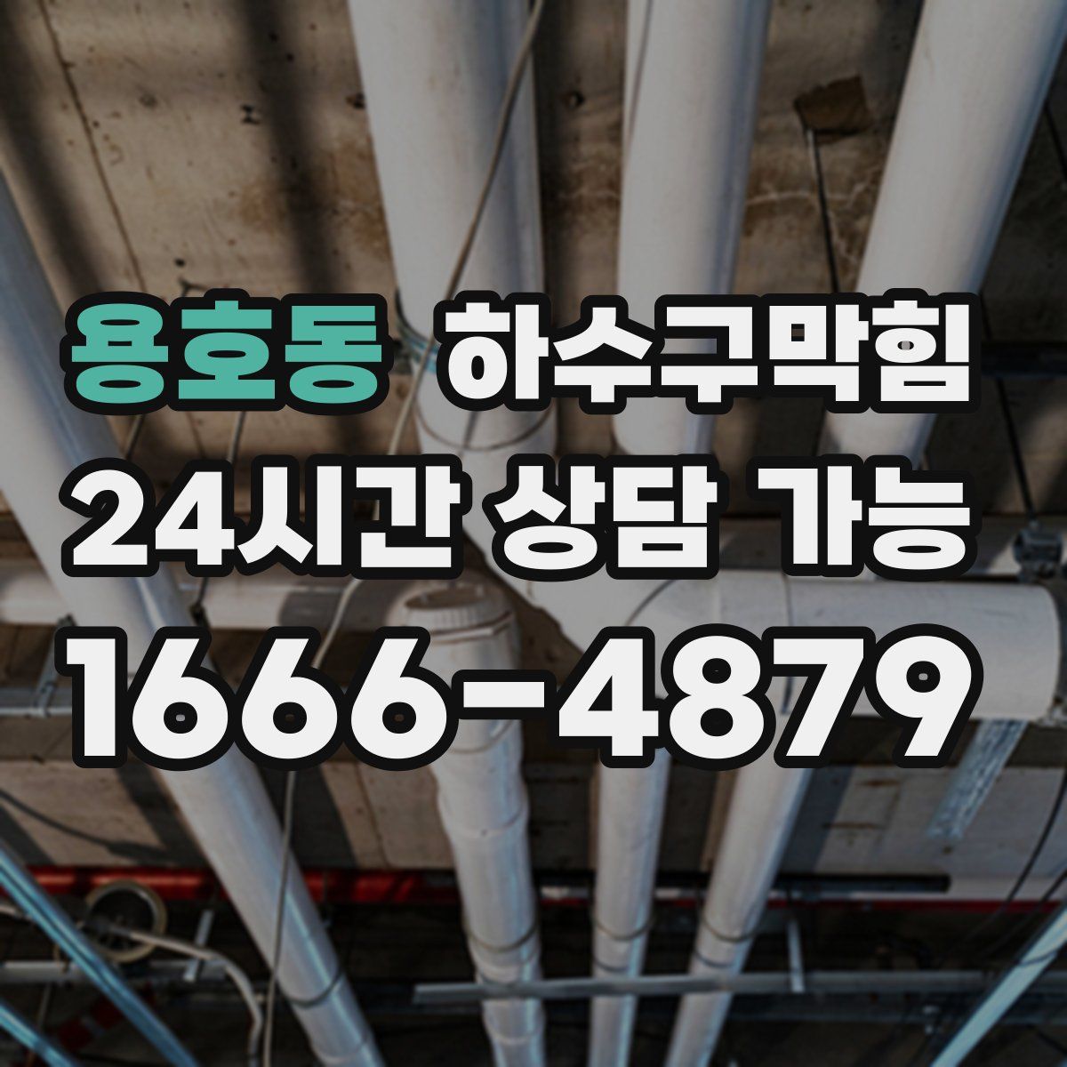 용호동 하수구막힘