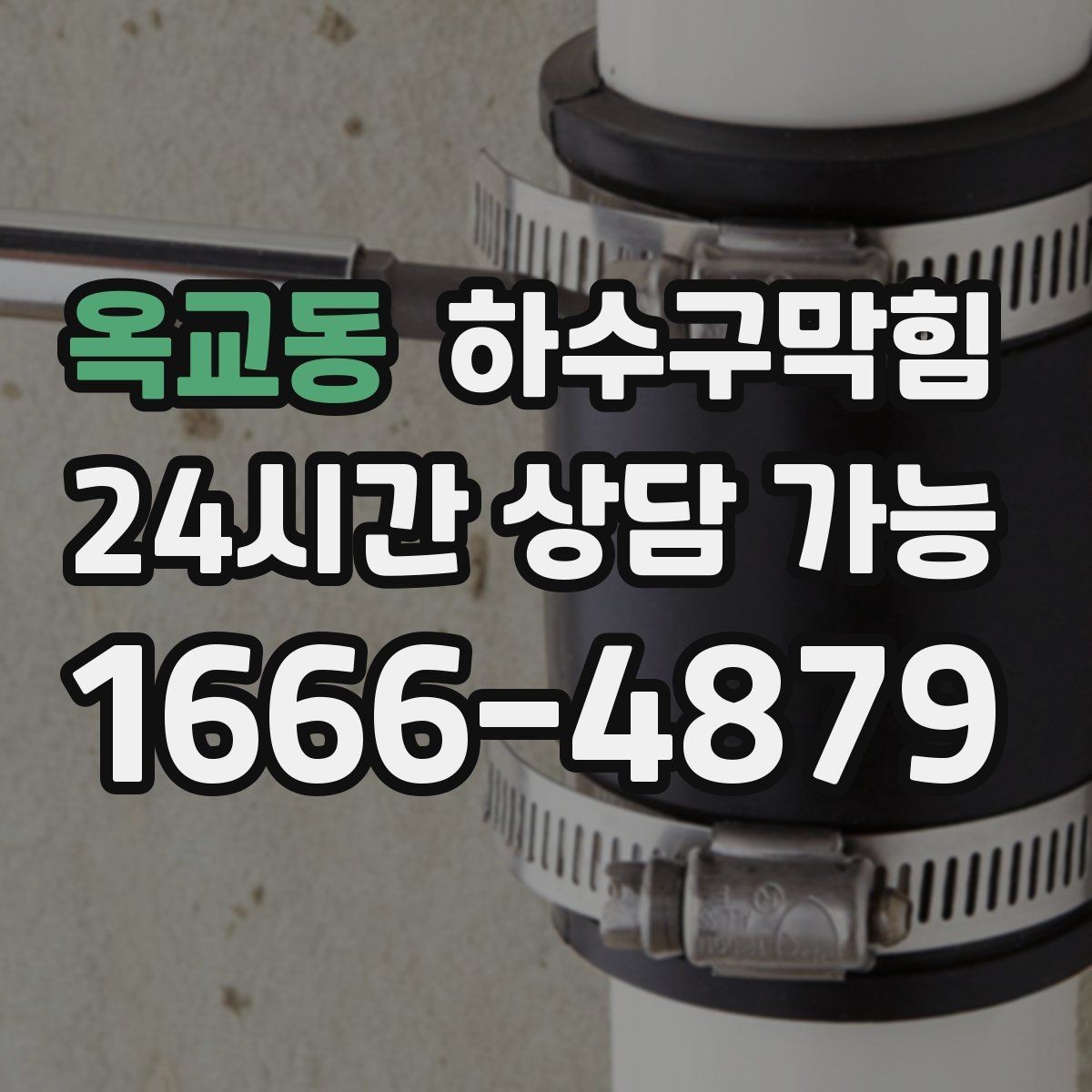 옥교동 하수구막힘 식당 변기막힘이 주문표 흐름을 바꿔버린 순간