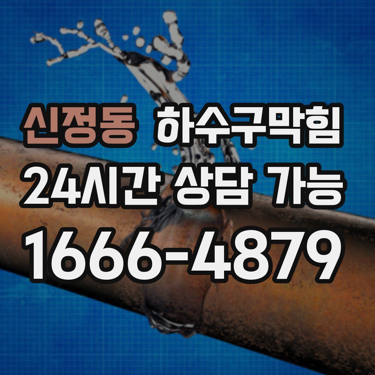 신정동 하수구막힘