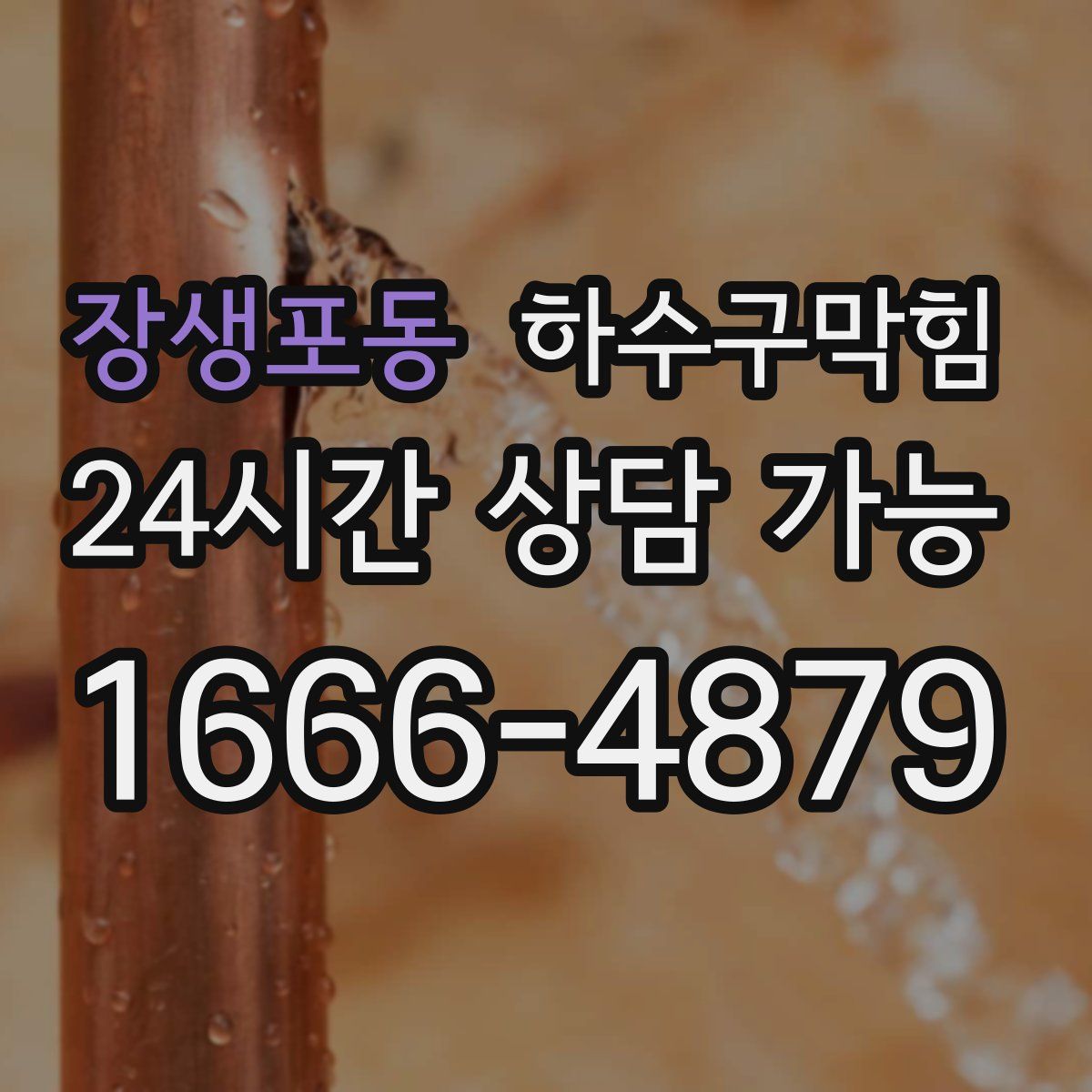 장생포동 하수구막힘