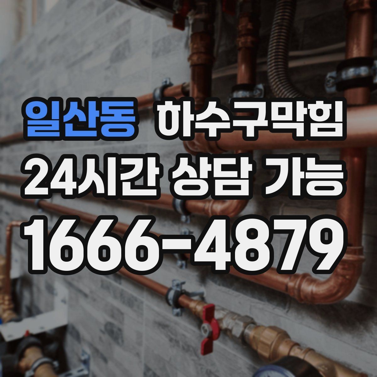 일산동 하수구막힘 역류 악취 증상별 빠른 해결