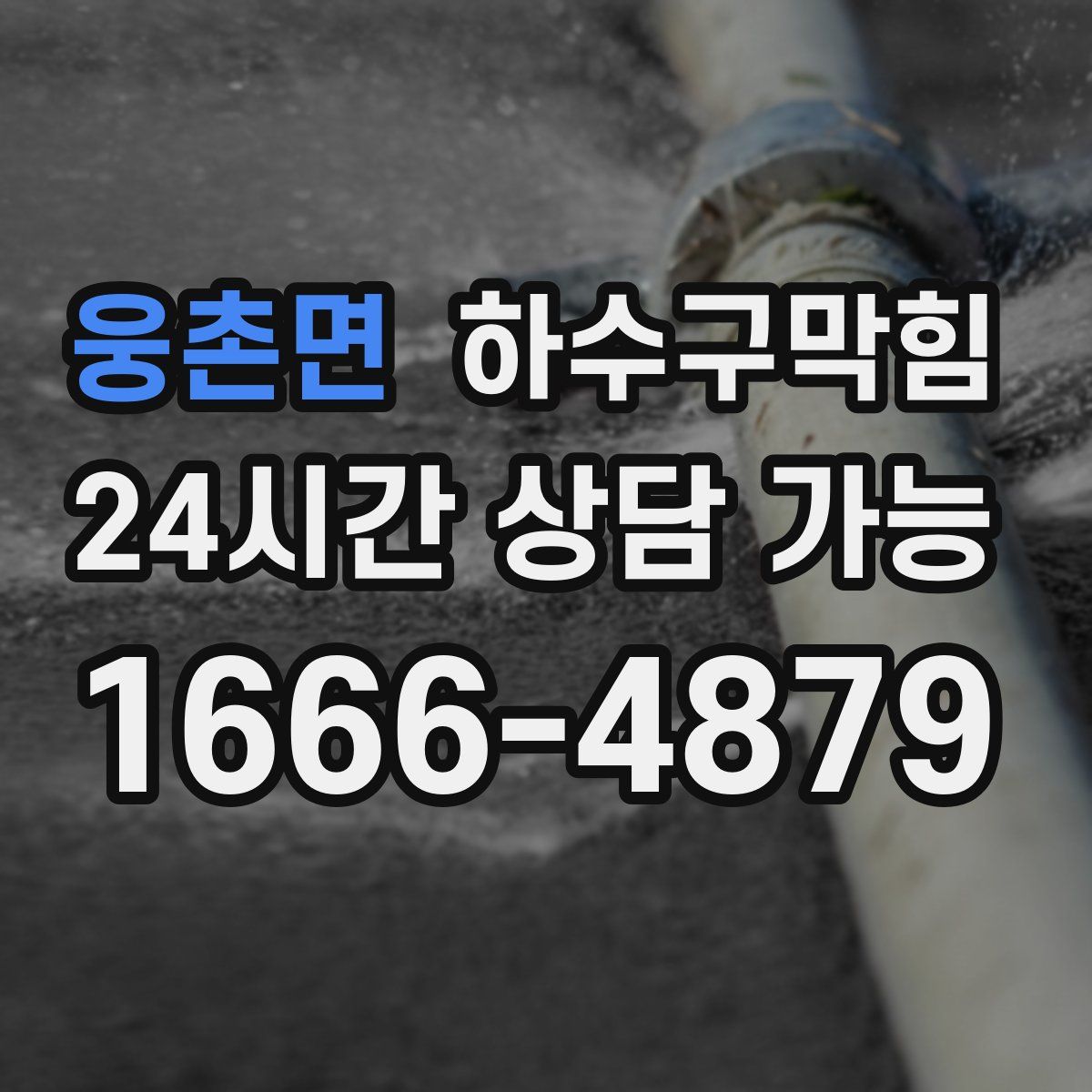 웅촌면 하수구막힘