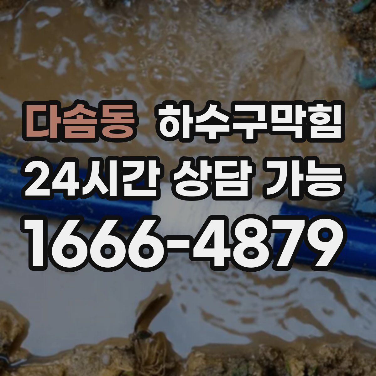 다솜동 하수구막힘