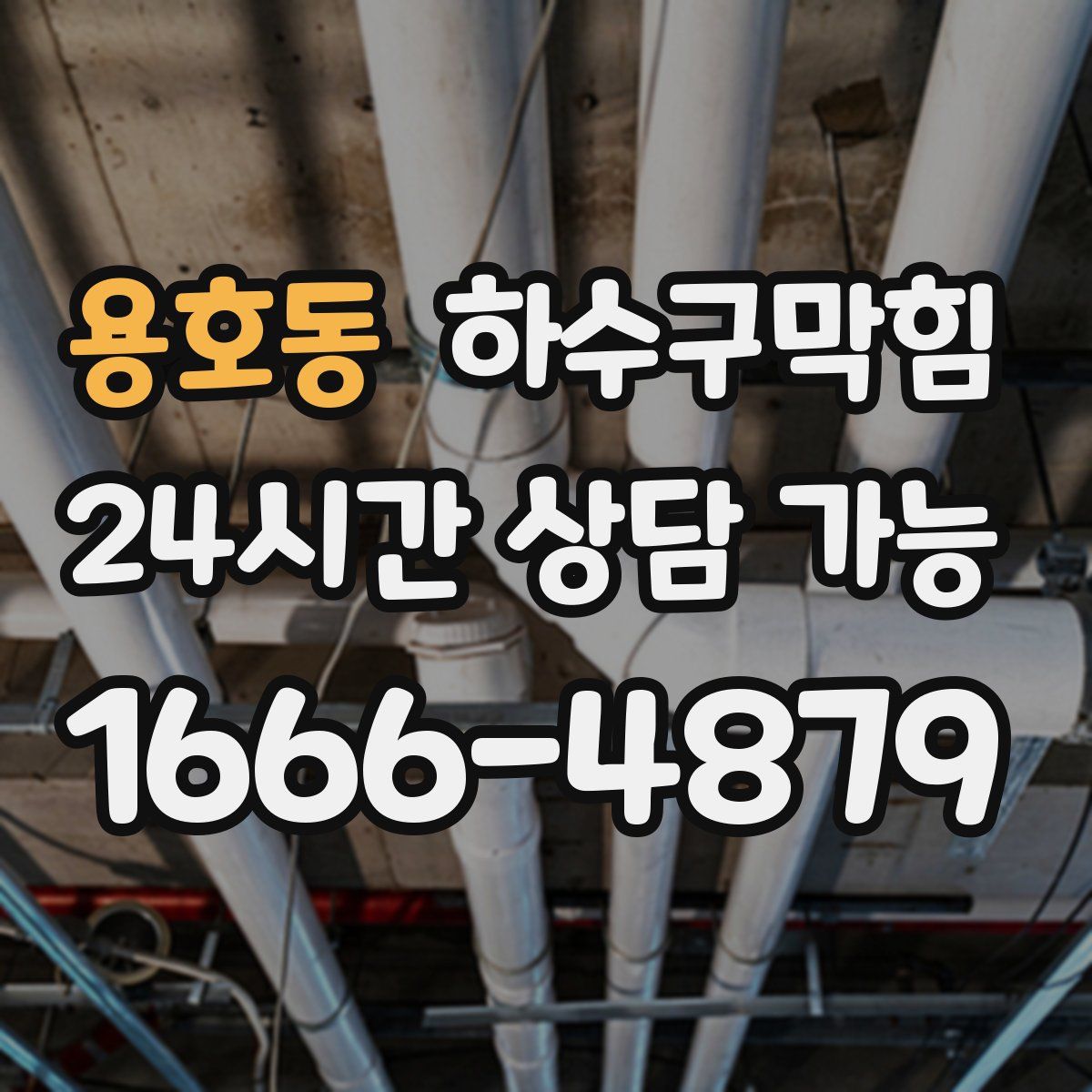 용호동 하수구막힘