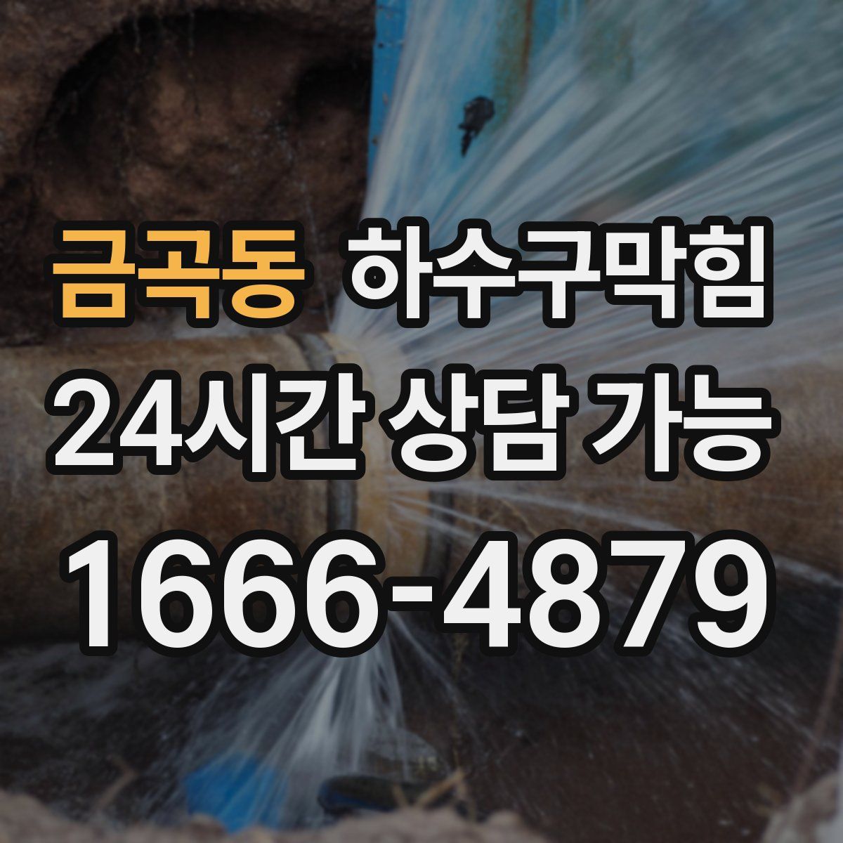 금곡동 하수구막힘