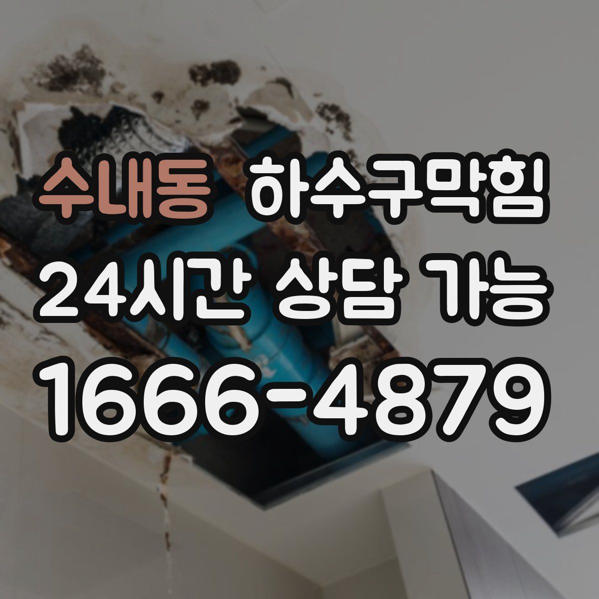 수내동 하수구막힘