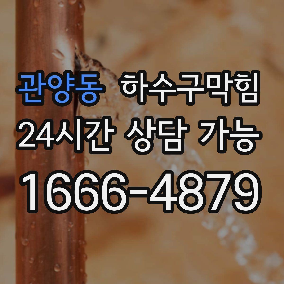 관양동 하수구막힘 공용 우체통 비닐봉투가 눅눅한 이유