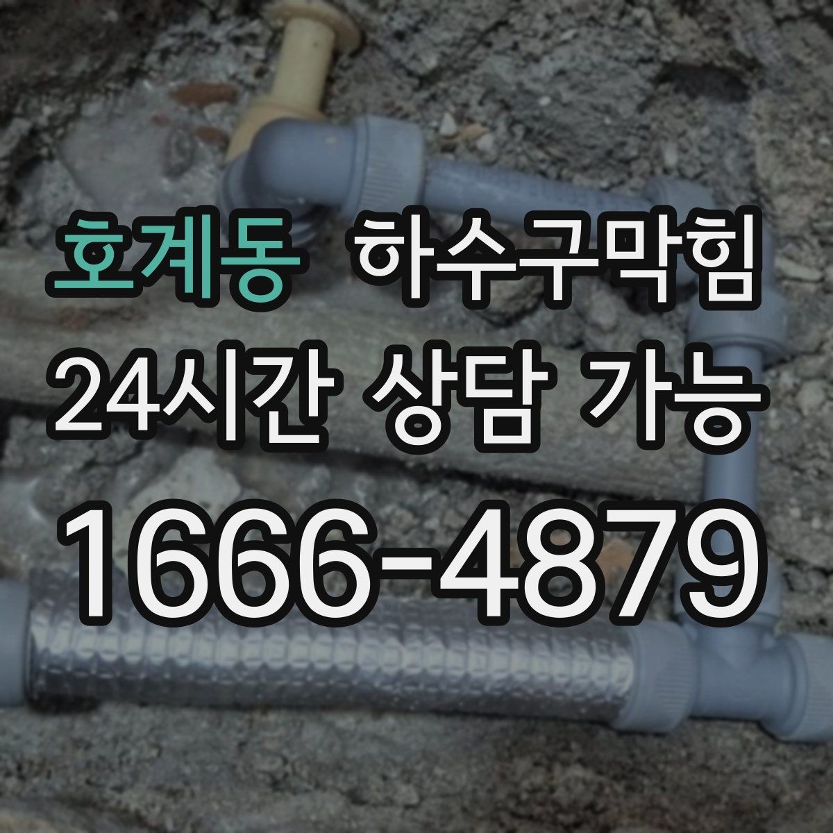 호계동 하수구막힘 프랜차이즈 본사 표준 보고의 장점