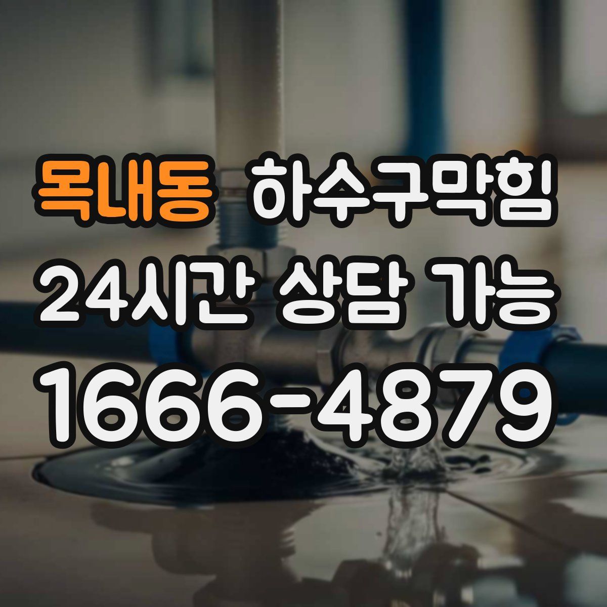 목내동 하수구막힘