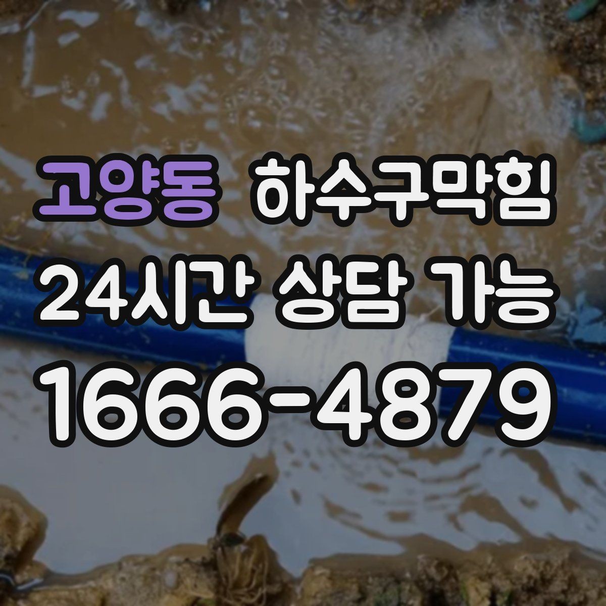 고양동 하수구막힘 샤워 배수구 머리카락 관리의 중요