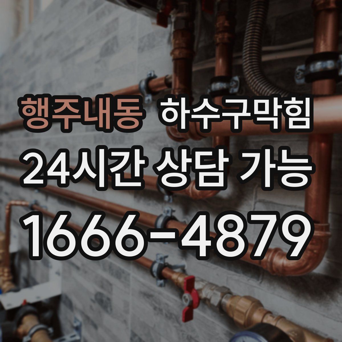 행주내동 하수구막힘