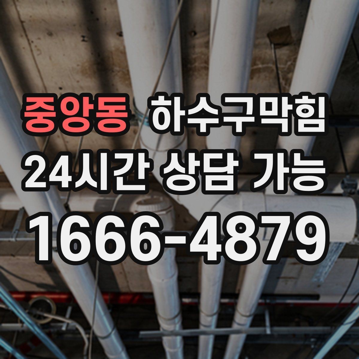중앙동 하수구막힘 화장대 거울 김서림이 알려 준 사실