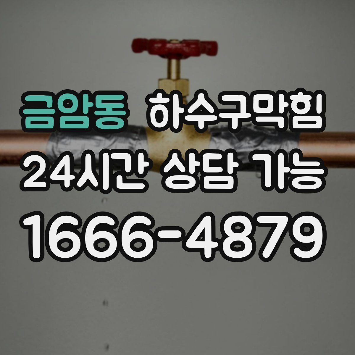 금암동 하수구막힘 365일 24시간 긴급 출동
