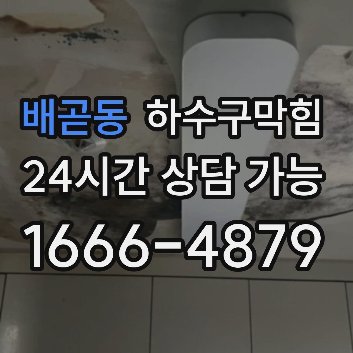 배곧동 하수구막힘