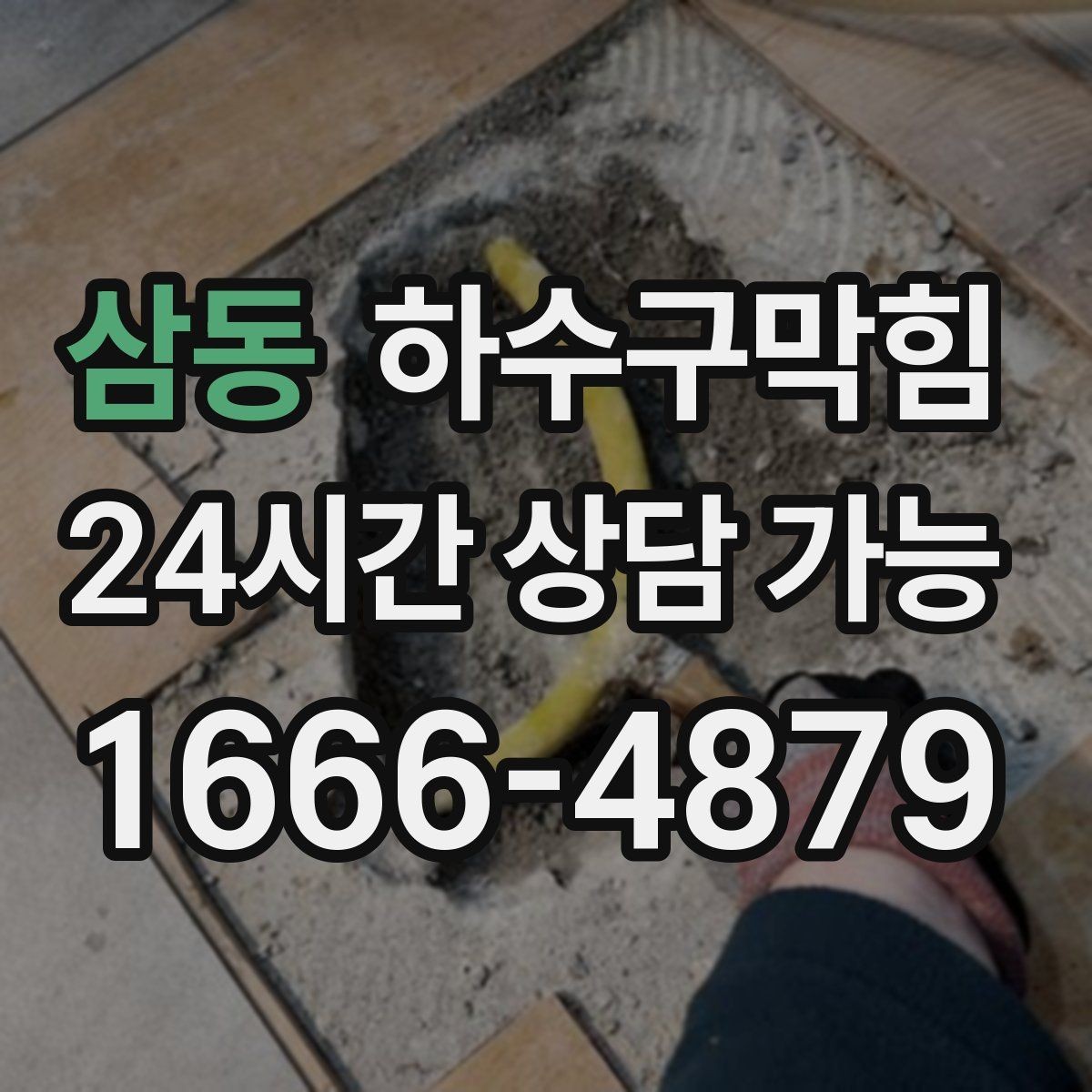 삼동 하수구막힘 아파트 하수구뚫기 후 현관 화분 잎이 살아난 날