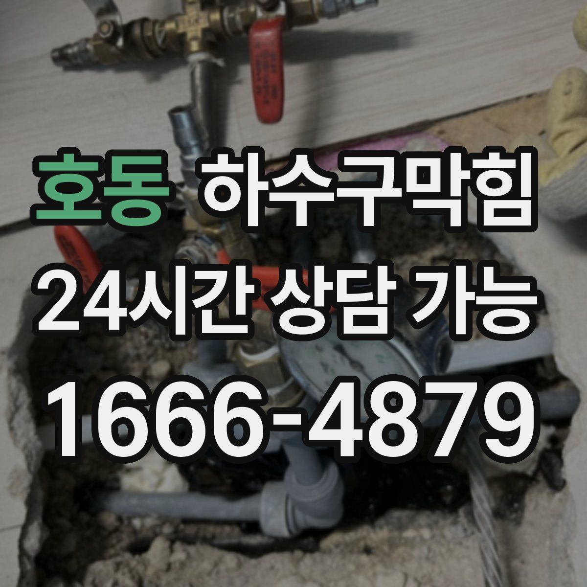 호동 하수구막힘