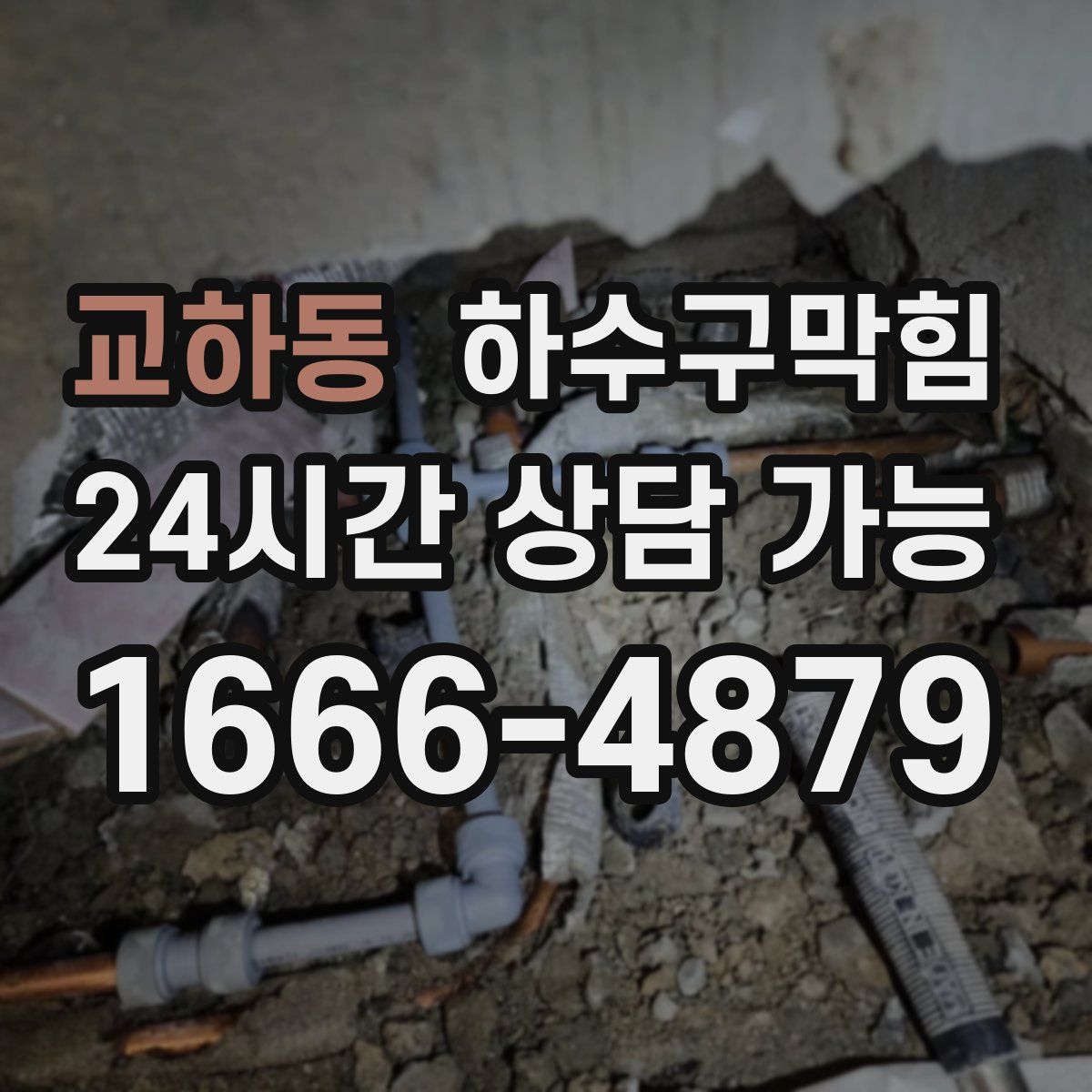 교하동 하수구막힘