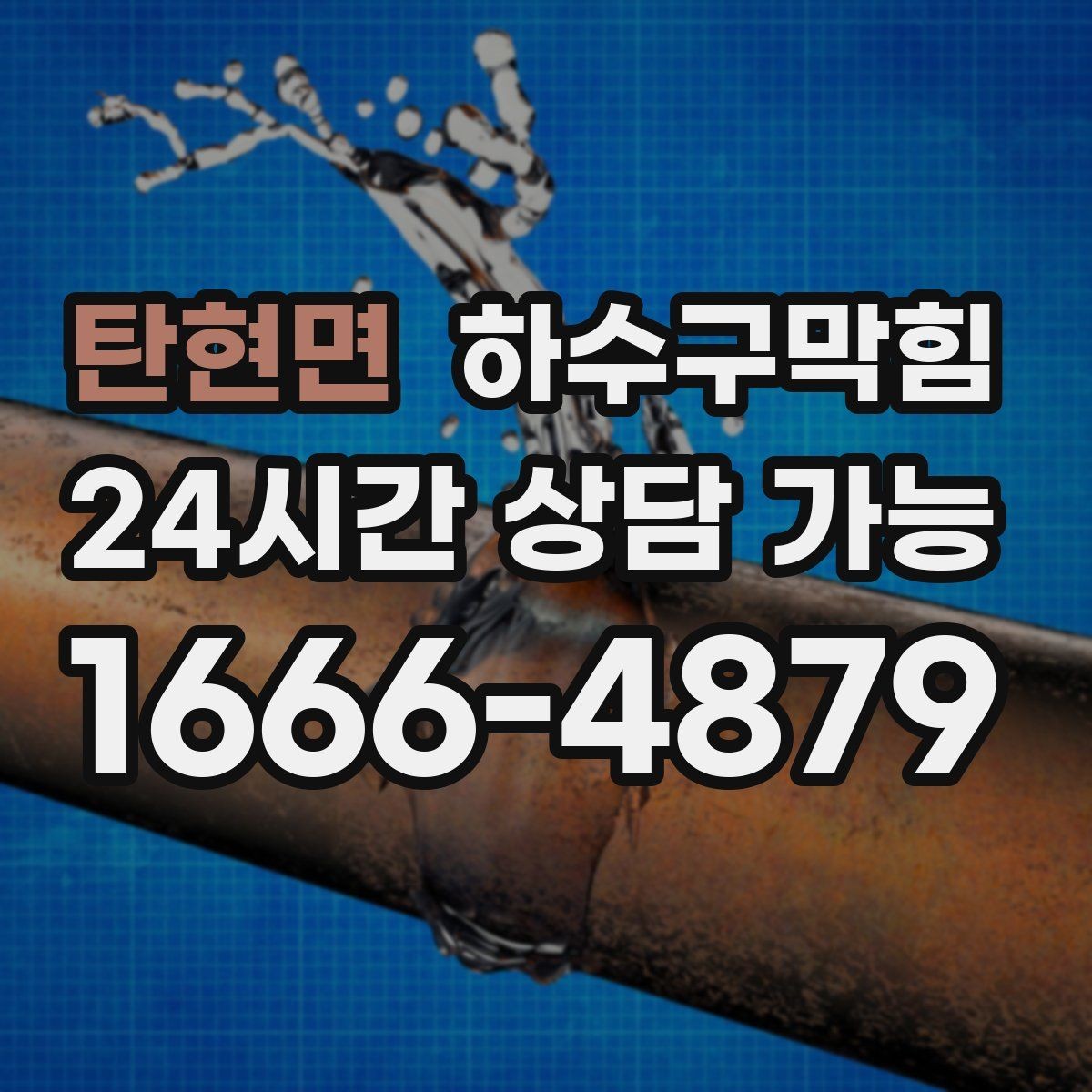 탄현면 하수구막힘 매장 음악이 잦아들던 시간의 비밀