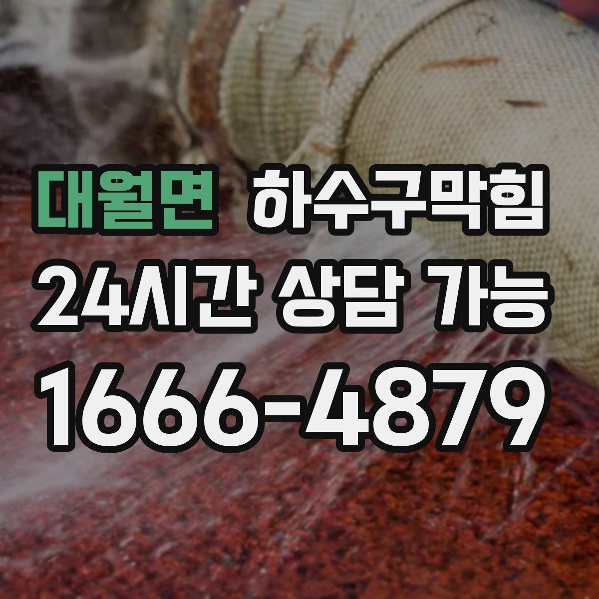 대월면 하수구막힘