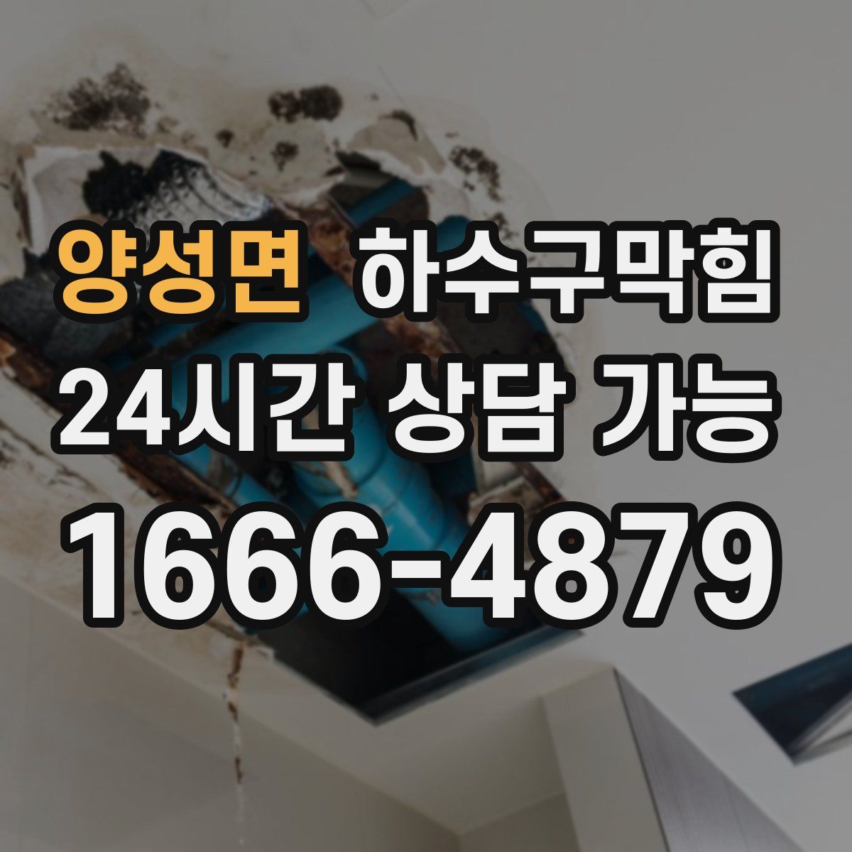 양성면 하수구막힘