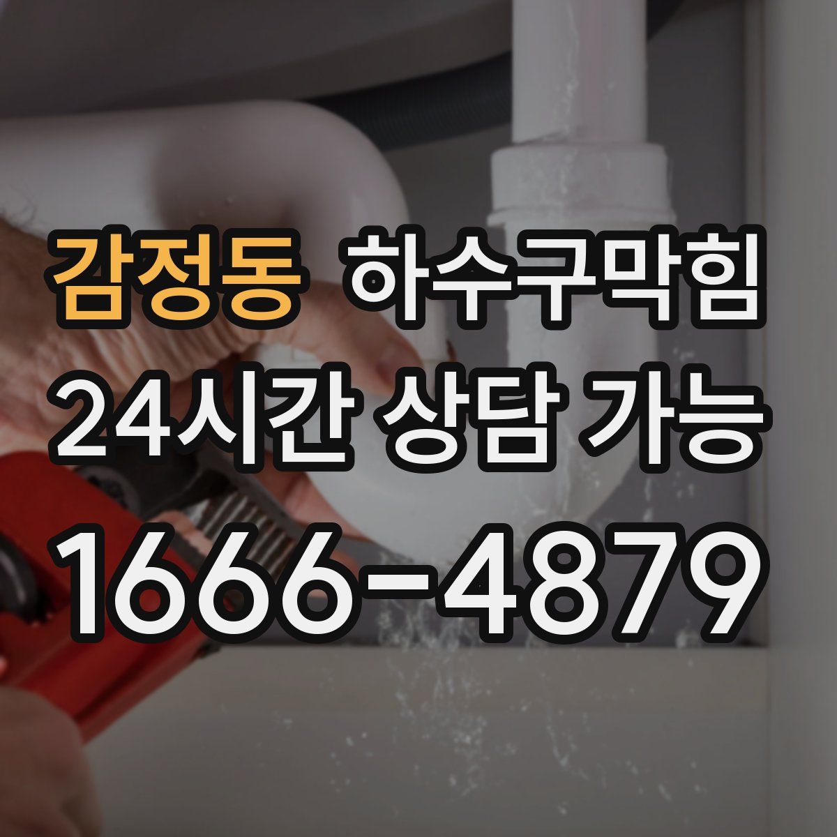 감정동 하수구막힘