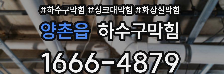 하수구막힘
