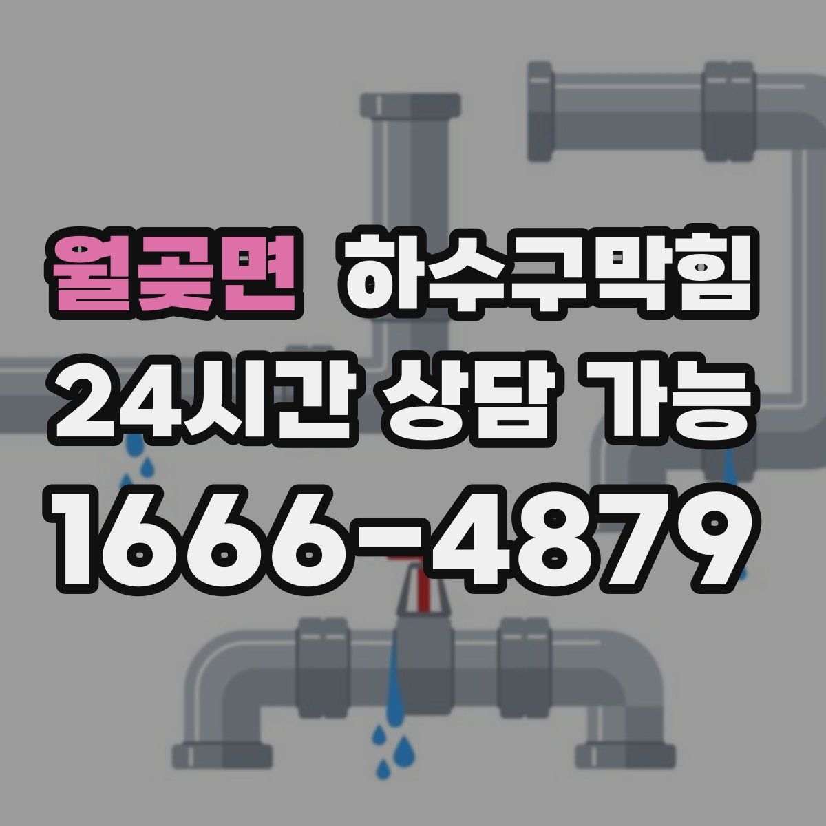 월곶면 하수구막힘