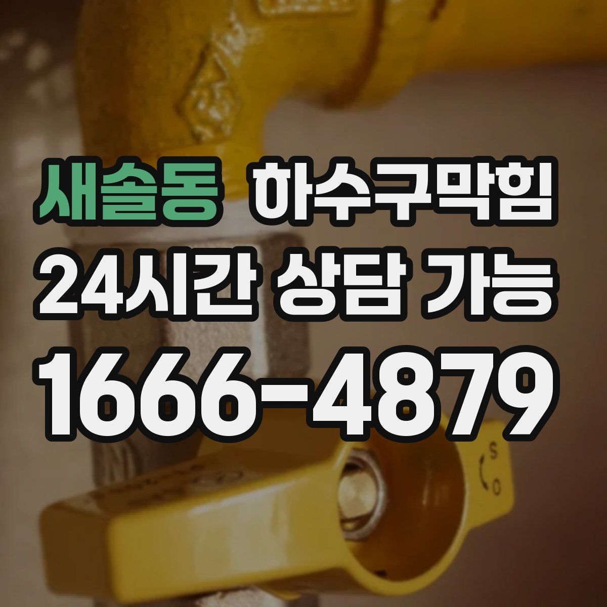 새솔동 하수구막힘 빌라 화장실역류가 층간 대화를 만든 저녁