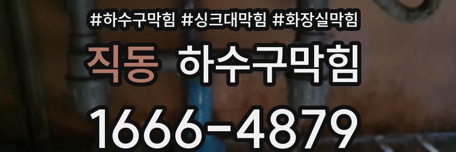 하수구막힘