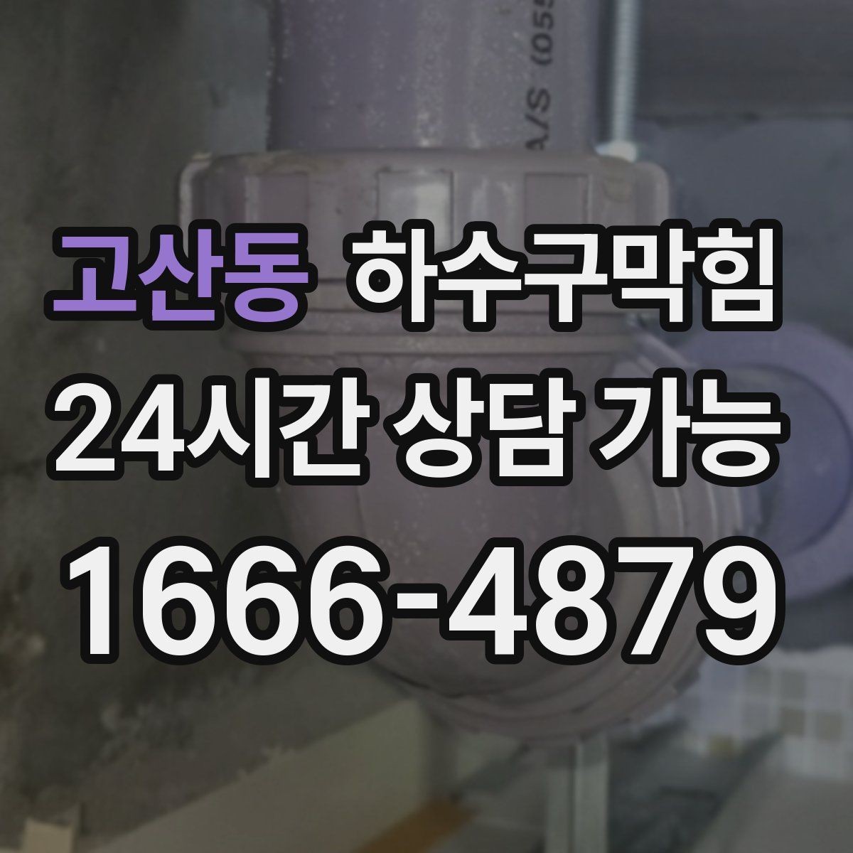 고산동 하수구막힘 아파트 하수구뚫기와 복도 식물의 기지개