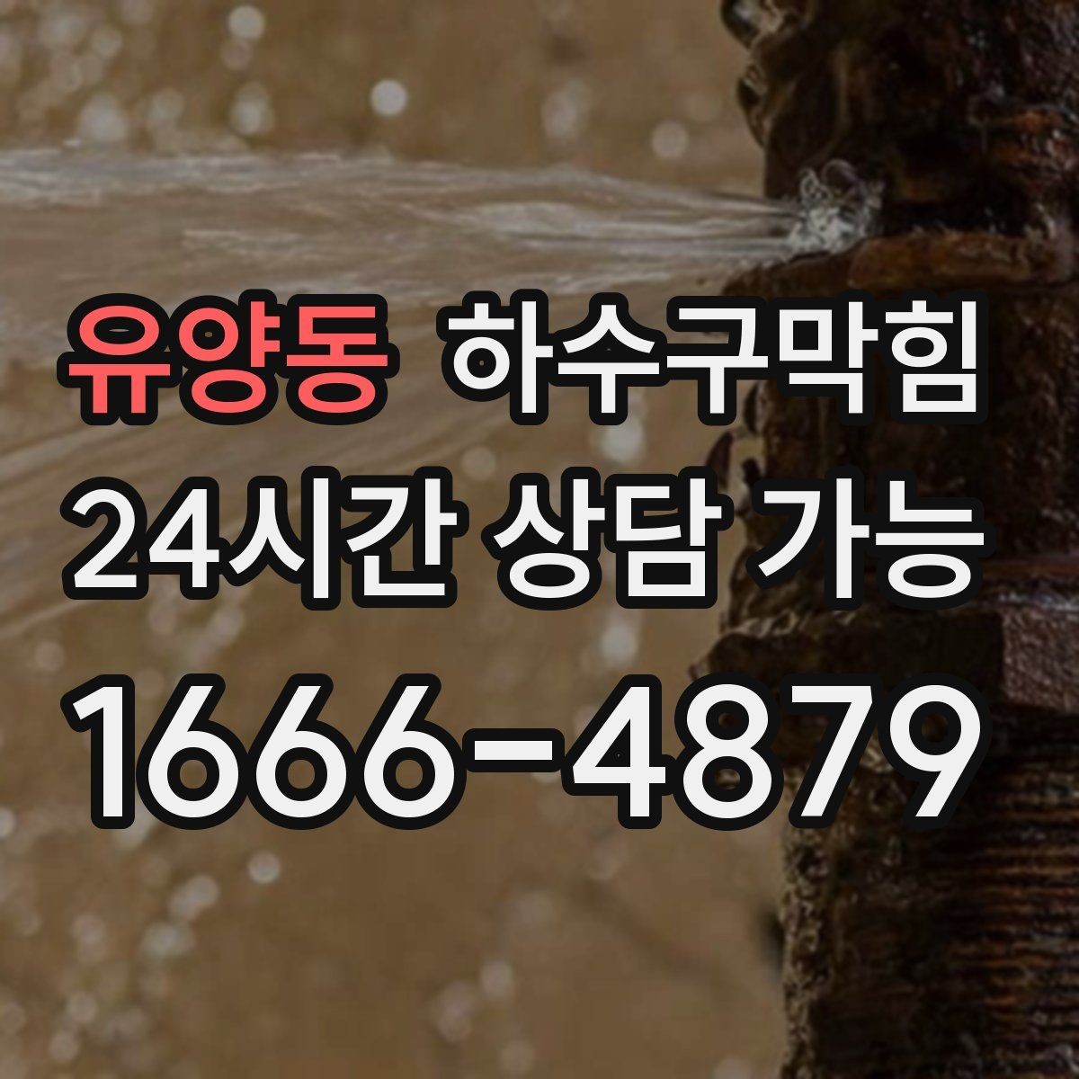 유양동 하수구막힘 반지하 벽걸이 달력이 젖어 있던 날