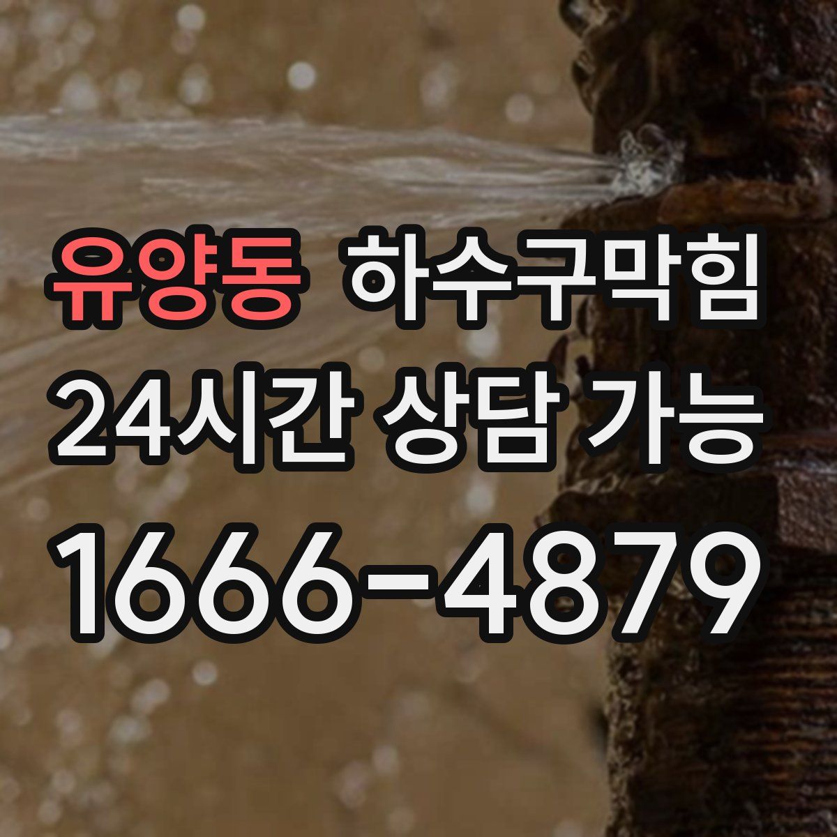 유양동 하수구막힘