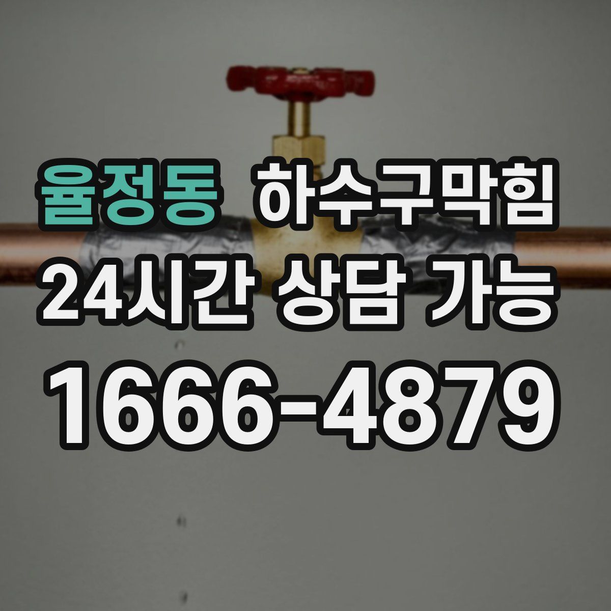 율정동 하수구막힘