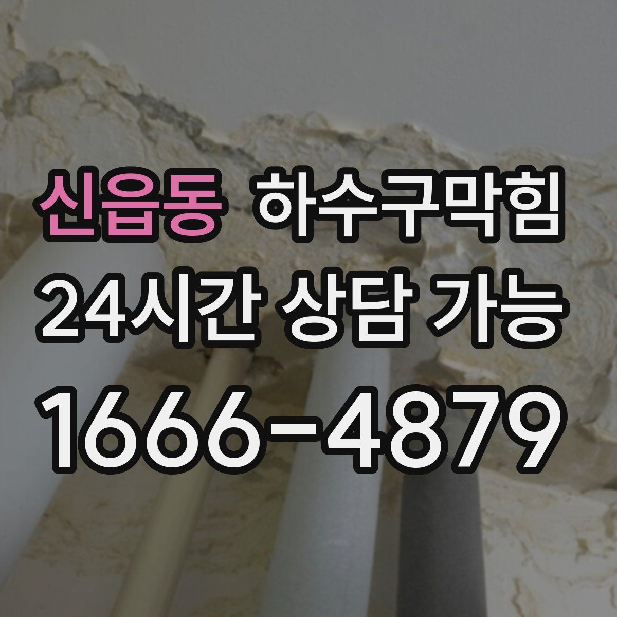 신읍동 하수구막힘