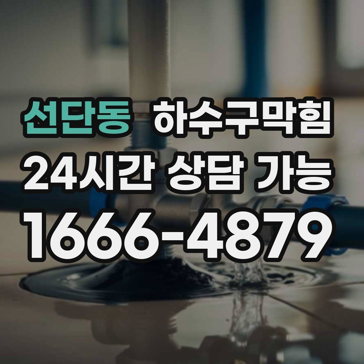 선단동 하수구막힘 지하층 곰팡이 악취 동시 해결