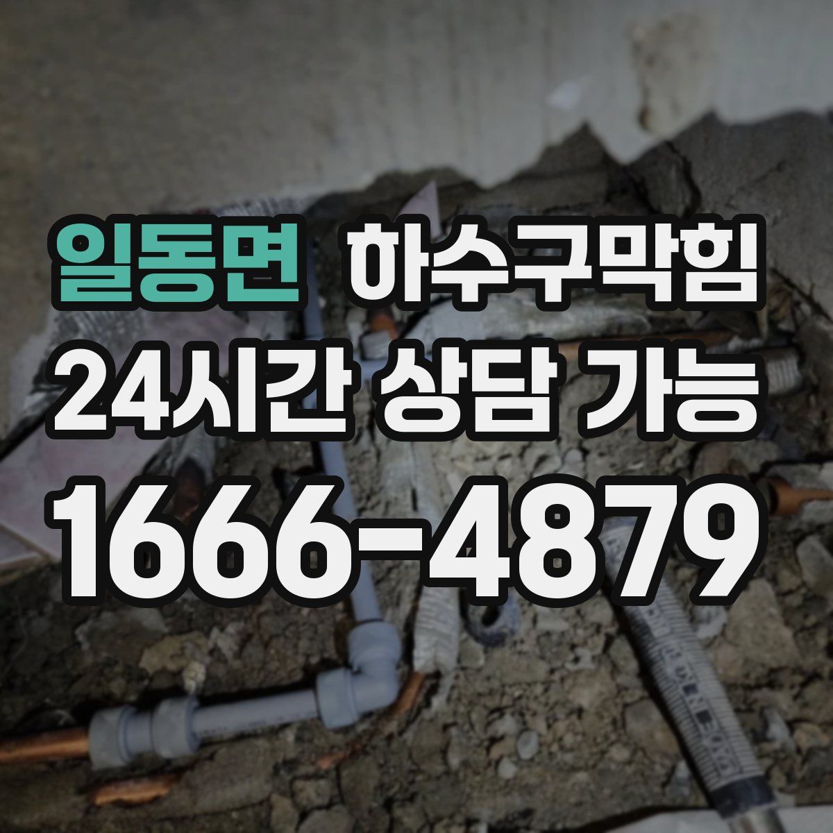 일동면 하수구막힘