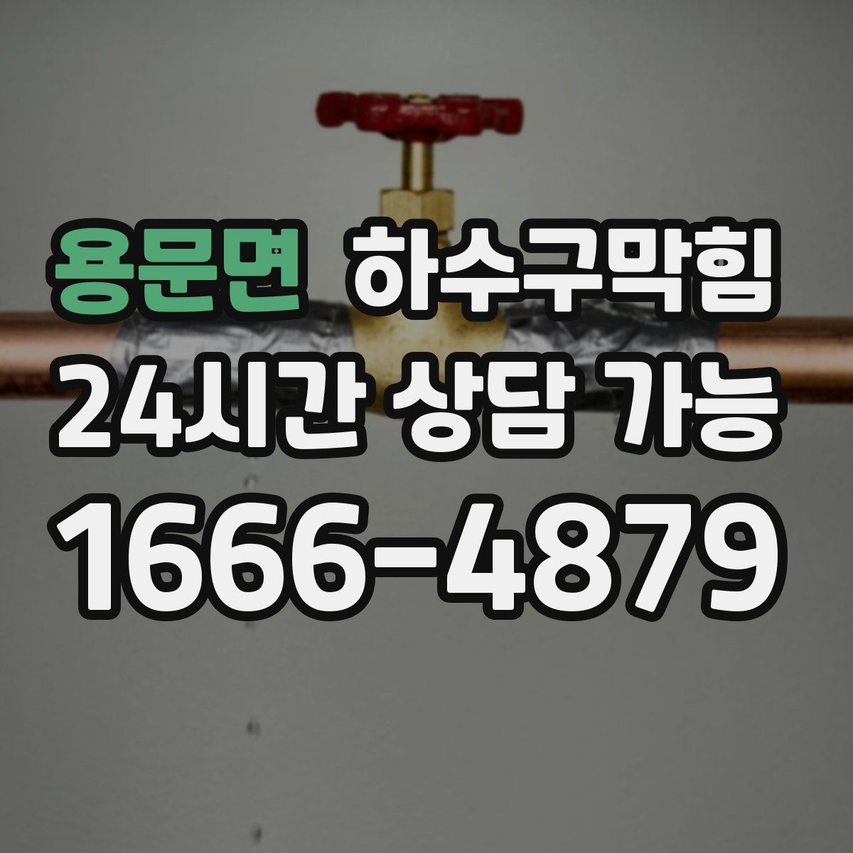 용문면 하수구막힘