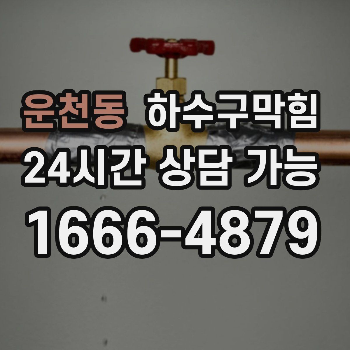 운천동 하수구막힘 문을 여는 순간 스친 익숙한 냄새
